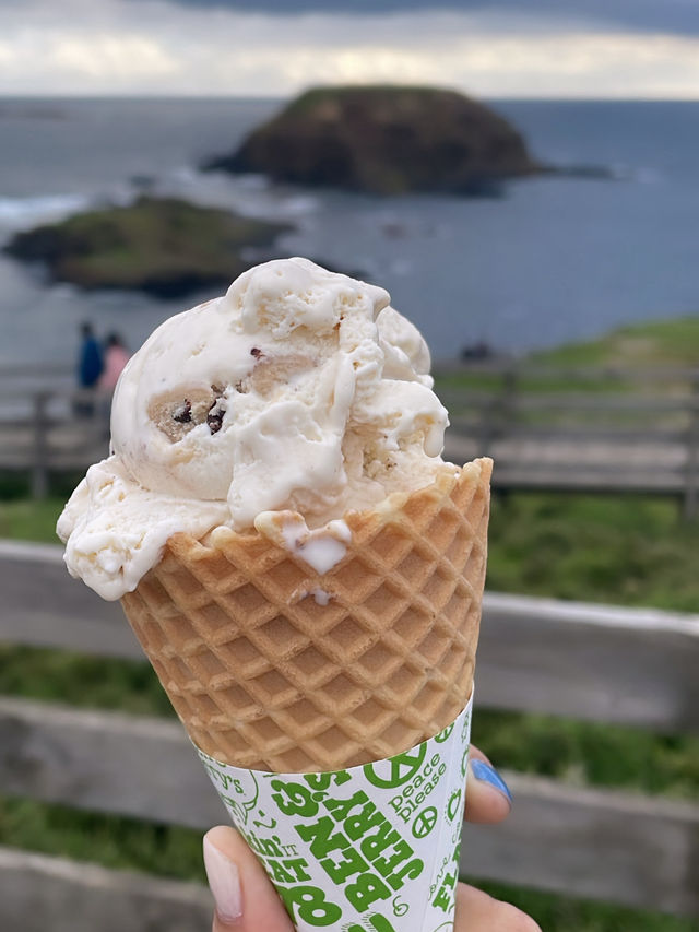 The Nobbies View Point