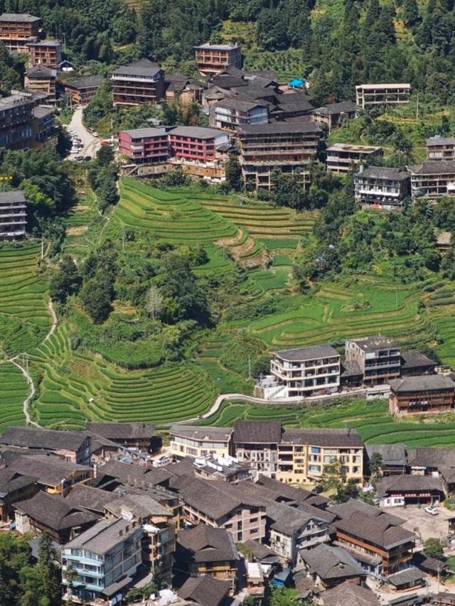 The Dragon’s Spine: Carving Beauty from the Land