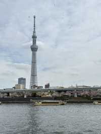 2025.03.28 櫻花季東京獨旅五天四夜行程 p6 第四天行程大公開(3.淺草)