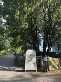 【ヘルシンキ】Töölö bay