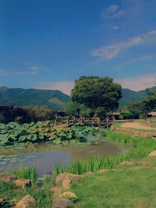 고즈넉한 데이트 고즈넉한 데이트