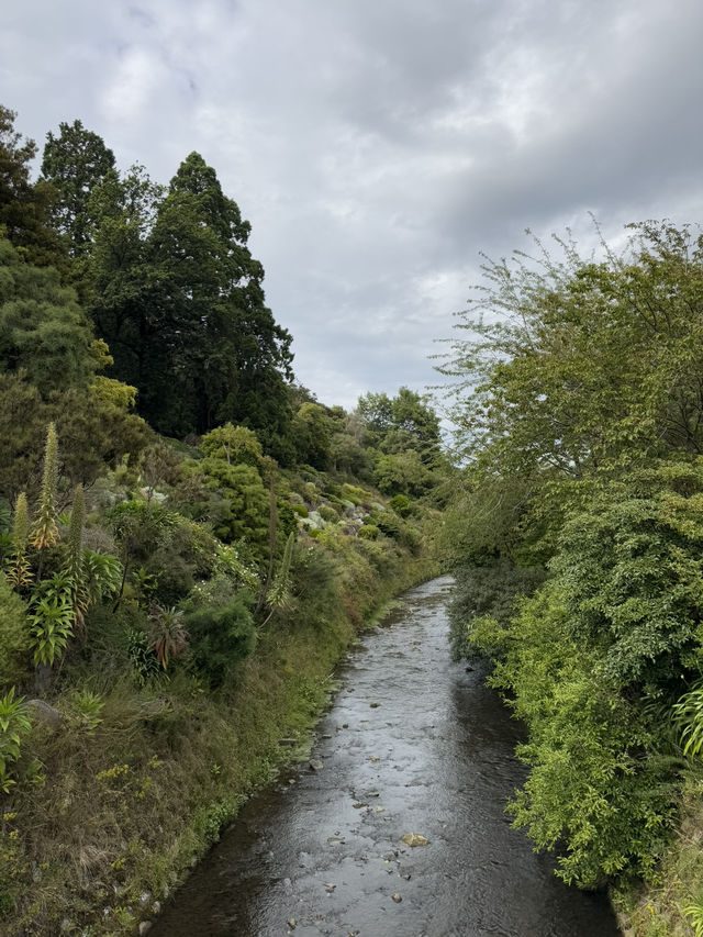 ใใใฅใผใธใผใฉใณใใปใใใผใใณใๅญฃ็ฏใฎ่ฑใ
ใจ็ใใฎ็ฉบ้ใใใใผใใณใปใใฟใใใฏใปใฌใผใใณใ๐ผ๐๏ธ ใใใฅใผใธใผใฉใณใใปใใใผใใณใๅญฃ็ฏใฎ่ฑใ
ใจ็ใใฎ็ฉบ้ใใใใผใใณใปใใฟใใใฏใปใฌใผใใณใ๐ผ๐๏ธ