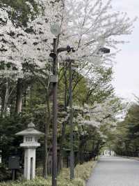 THE HOKKAIDO SHRINE.