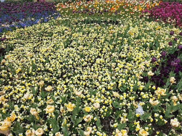 💐Floriade Day Part 1💐