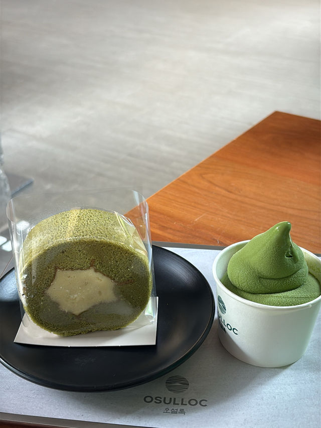 🌿 제주 여행 브이로그 감성으로 — “제주 가면 여기 무조건!”