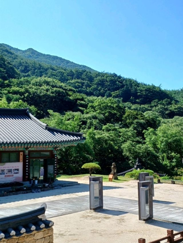 자연의 품속에서 고요히, 화엄사