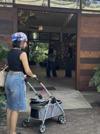 ไทรสุก Saisook ร้านไอติมโฮมเมด ที่อร่อยสุดในเขาใหญ่