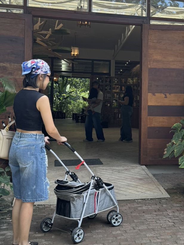 ไทรสุก Saisook ร้านไอติมโฮมเมด ที่อร่อยสุดในเขาใหญ่