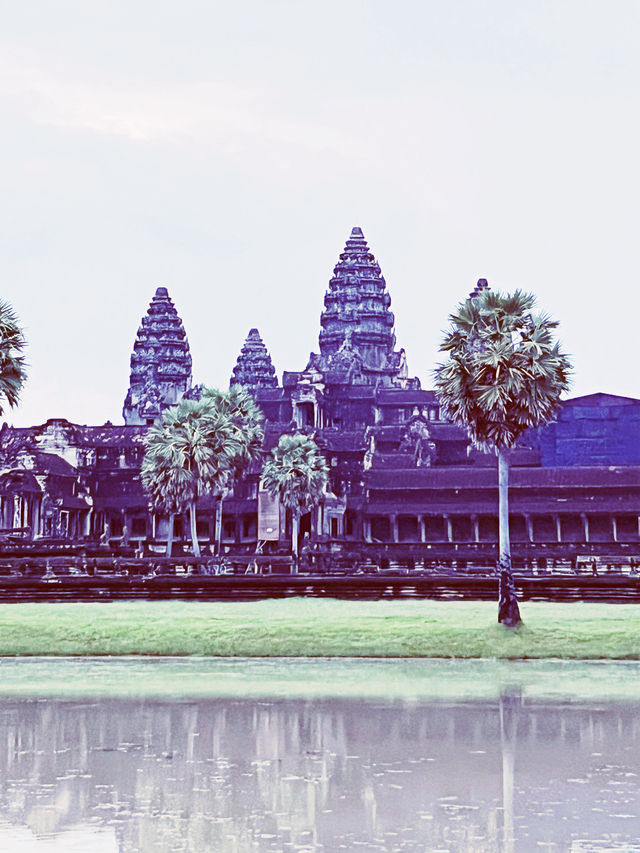 🌅 Angkor Wat Sunrise: When Ancient Stones Catch Fire with Dawn's First Light! 🏛️