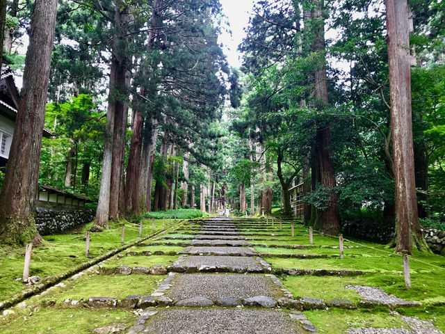 【福井・白山神社平泉寺🌿】苔の聖地で感じる静寂と神仏習合