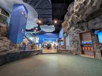 🌊🐠 Discover the Deep at the National Museum of Marine Science and Technology ⚓✨