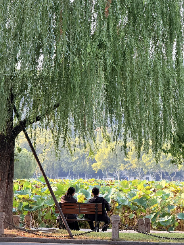 A Serene Stroll Around West Lake, Hangzhou