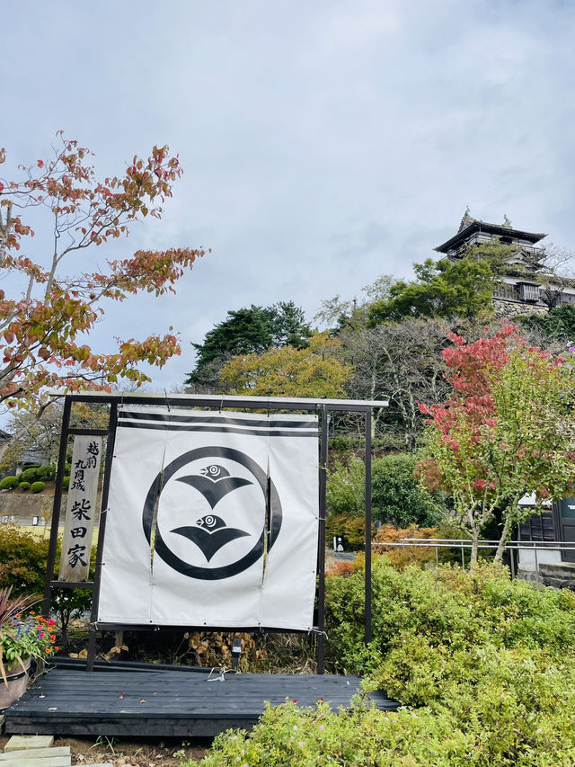 ペットとお出かけ福井旅 ペットとお出かけ福井旅