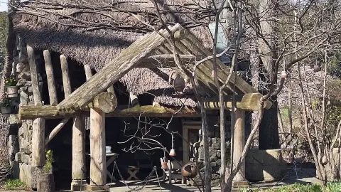 ウィンターサー博物館、庭園、図書館 — traveler post in デラウェア州