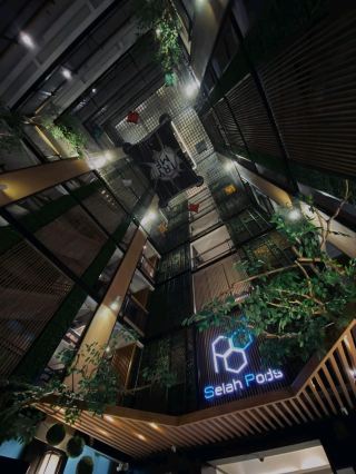 🌙파사이에서 나만의 도시 속 은신처를 꿈꾸시나요? 셀라 포드 호텔 마닐라는 특히 밤에 시선을 사로잡을 것입니다! 현대적인 건축물, 싱그러운 식물, 그리고 매 순간을 사진으로 남기고 싶게 만드는 세련된 계단으로 빛나는 이곳은 마닐라의 번화한 도심에서 도시적인 스타일, 합리적인 가격, 그리고 수준 높은 서비스를 원하는 분들에게 완벽한 장소입니다.

위치는 최고입니다. 대중교통, 쇼핑몰(몰 오브 아시아를 생각하시면 됩니다!), 그리고 맛있는 현지 레스토랑까지 단 몇 분 거리에 있습니다. 친절한 직원들이 체크인 과정을 편안하게 만들어 주고, 모험을 위한 팁이나 간단한 간식이 필요할 때 언제든 도움을 드립니다.

스위트 사진 작가를 위한 팁:
1. 계단의 기하학적 구조와 은은한 조명을 활용하여 드라마틱한 야간 인물 사진을 촬영하세요. 멋진 건축적 라인을 포착하려면 낮은 각도로 촬영해 보세요!
2. 식물 장식을 생동감 넘치는 배경으로 아늑한 실내 사진을 찍어보세요. 호텔의 미니멀한 콘크리트 스타일과 잘 어우러져 갤러리에 차분하고 도시적인 분위기를 더합니다.
3. 해 질 녘에는 옥상 수영장에서 고층 빌딩이 즐비한 도시 풍경을 감상해 보세요. 골든 아워나 블루 아워는 아름다운 대비를 선사하여 릴과 스틸 사진 모두에 완벽한 분위기를 선사합니다.

편의 시설도 넉넉합니다. 무료 정수기, 늦은 밤 간단한 식사를 위한 전자레인지, 그리고 리필 가능한 물병이 마련되어 있습니다. 멋진 도시 전망을 감상하려면 옥상 바를 꼭 방문하세요. 몇몇 투숙객은 공사 현장을 지적했지만, 미적인 아름다움을 해치는 경우는 거의 없습니다.

trip.com에서 최저가로 예약하세요. 프라이빗룸을 예약하고 더 높은 층을 요청하면 더 멋진 도시 전망을 감상할 수 있습니다. 여행 팁: 현지 경험을 위해 쇼핑몰과 맛집을 미리 확인하고, 아침 식사 옵션을 미리 확인해 보세요!

#파사이 #셀라팟스호텔 #현대건축 #도시야경 #여행크리에이터