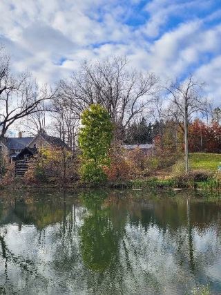 Vaughan's Autumn Hidden Gem! Boyd Conservation Park's Healing Experience