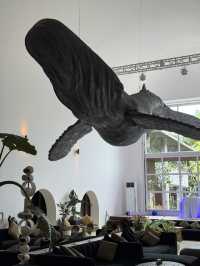 Onyx Resort Dream✨