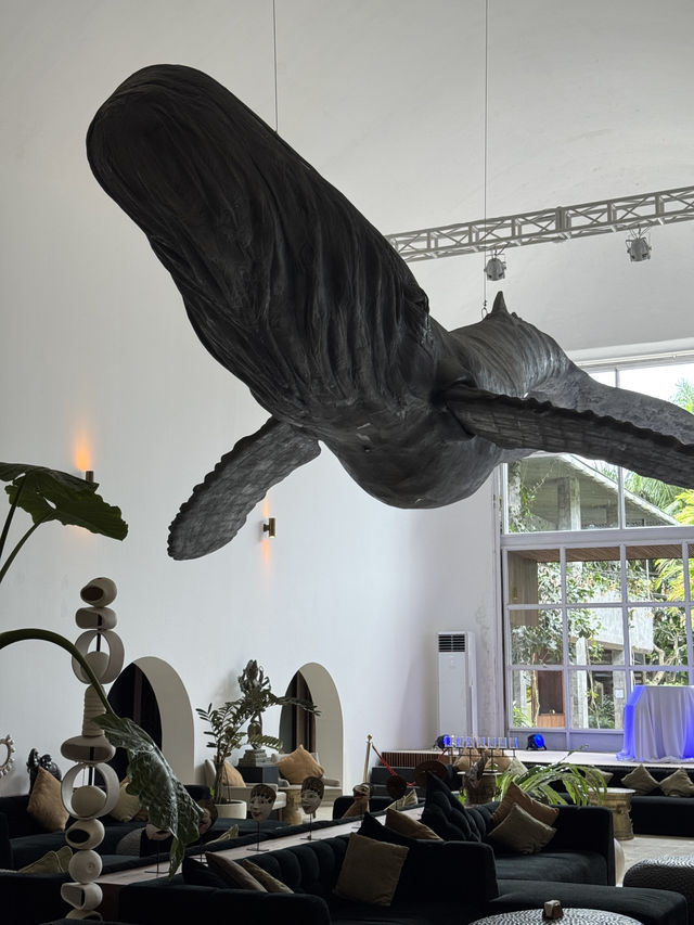 Onyx Resort Dream✨ Onyx Resort Dream✨