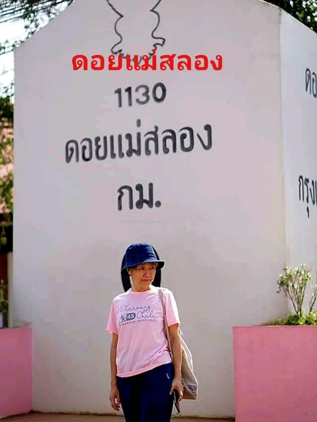 แหล่งปลูกชาชั้นดีในเชียงราย✨️