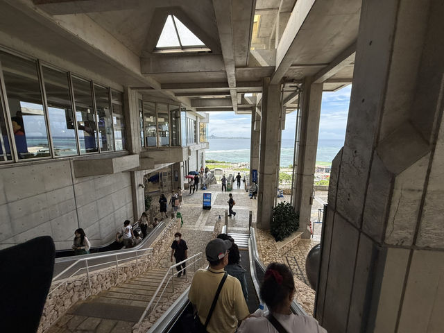 沖繩必去地方-長瀨島、美國村、海洋館、玉泉洞、（食）阿古豬