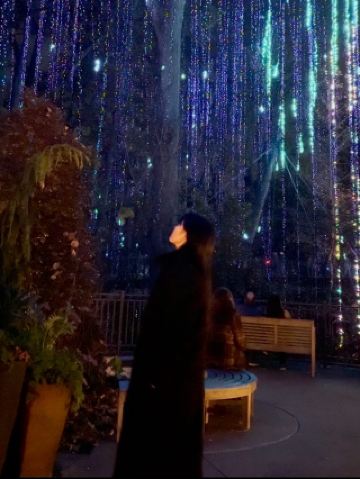 🎅 皮埃蒙特公園聖誕燈光之旅－亞特蘭大冬夜閃耀