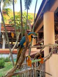 “가족휴양 어디갈까?” 고민 끝! 아이와 함께한 태국 후아힌 아난타라 여행