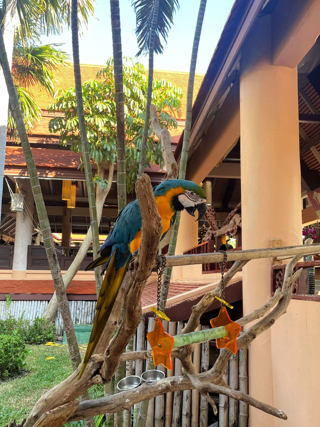 “가족휴양 어디갈까?” 고민 끝! 아이와 함께한 태국 후아힌 아난타라 여행