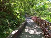 The Bright Fuzhou Shan Park in Da'an District, Taipei City, Taiwan