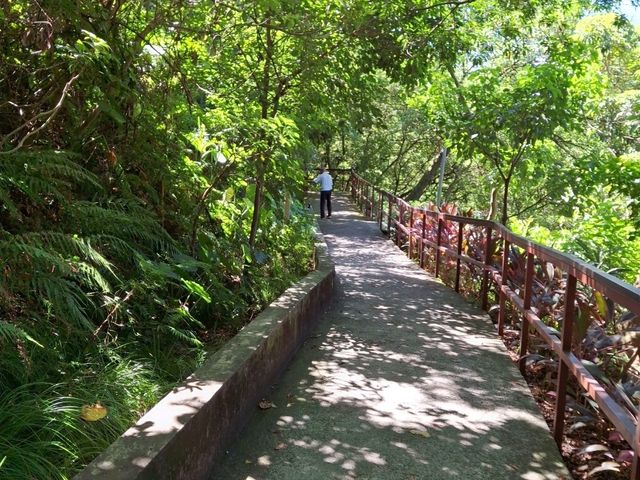 The Bright Fuzhou Shan Park in Da'an District, Taipei City, Taiwan The Bright Fuzhou Shan Park in Da'an District, Taipei City, Taiwan