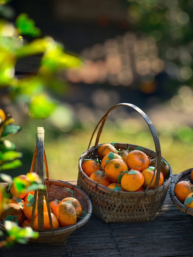 ผาปู่จอม แม่แตง เเชียงใหม ผาปู่จอม แม่แตง เเชียงใหม