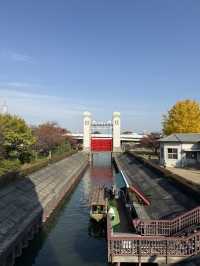 🍁 伏見十石舟:秋日泛舟,穿越時光的水上畫卷 🍂