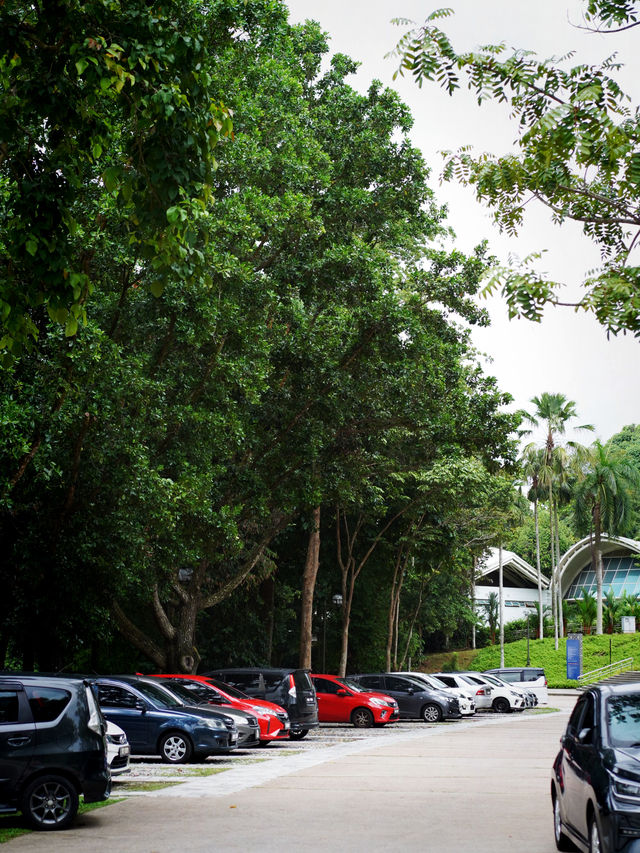 🍃 Putrajaya Botanical Garden: Calm, Green, and Refreshing 🍃