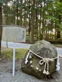 《巨杉守護的靜謐時光•北口本宮富士淺間神社》