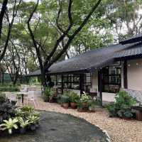 คาเฟ่ลำปาง 🎨Biscuit Cafe คาเฟ่ในหอศิลป์