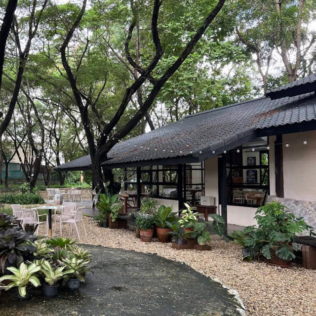 คาเฟ่ลำปาง 🎨Biscuit Cafe คาเฟ่ในหอศิลป์ คาเฟ่ลำปาง 🎨Biscuit Cafe คาเฟ่ในหอศิลป์