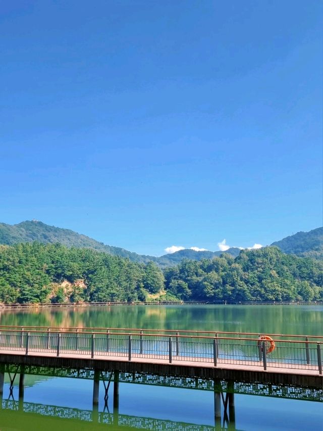 전주 나들이 📍아중호수도서관