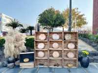 아직은 가을여행 중 😁🍁