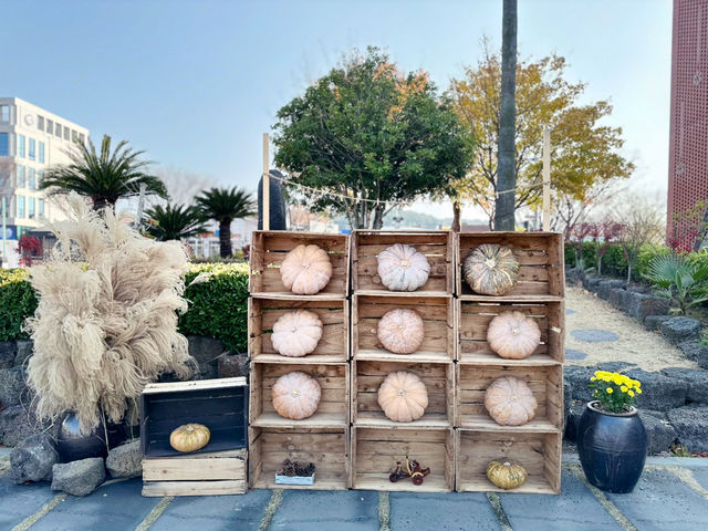 아직은 가을여행 중 😁🍁