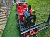 不用去新疆!在湘南郴州找到宫崎骏童话草原|蹒跚小旅人一日漫游