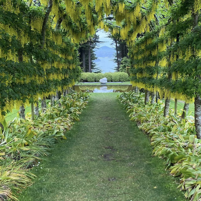 🇳🇿 奧塔哥半島必去打卡！紐西蘭唯一夢幻古堡Larnach Castle