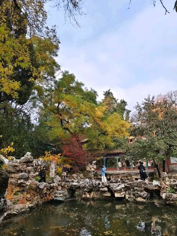 Autumn's Masterpiece in an Emperor's Garden
