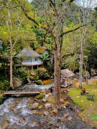 The best time to visit Mae Kampong Village is during the cool and dry seaso