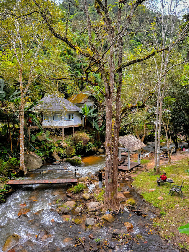 The best time to visit Mae Kampong Village is during the cool and dry seaso The best time to visit Mae Kampong Village is during the cool and dry seaso