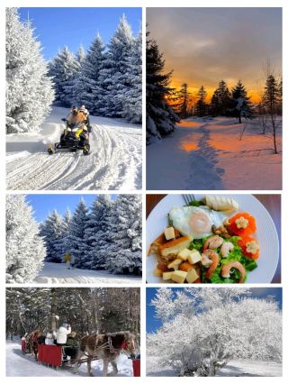 #skitrip

先鋒雪嶺 – 一處隱藏的冬季仙境