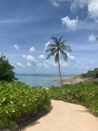 🏝️ Koh Samui Paradise: The Ritz-Carlton Escape