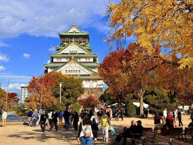 大阪｜連兩年造訪大阪城 看秋日銀杏與楓紅的別樣美感