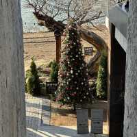 ๊ฒฝ์ฃผ ํ์ฅ์นดํ, ์๋ํ