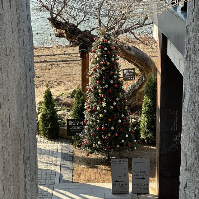 ๊ฒฝ์ฃผ ํ์ฅ์นดํ, ์๋ํ ๊ฒฝ์ฃผ ํ์ฅ์นดํ, ์๋ํ