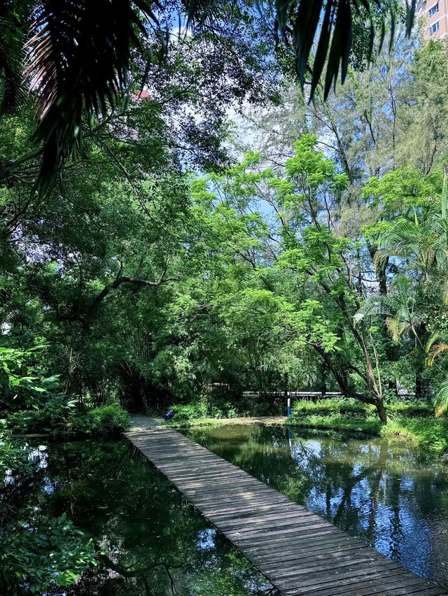 隱藏在市區裏的綠野仙蹤💕深圳(燕晗山郊野公園)治癒祕境 隱藏在市區裏的綠野仙蹤💕深圳(燕晗山郊野公園)治癒祕境