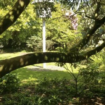 失落的赫利根花園